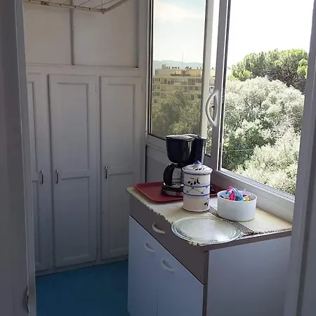 Tres Bel Avec Terrasse De 87m2 Avec Superbe Vue Panoramique Sur La Baie D * 아작시오